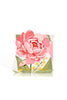 Body Cleansing Bar Gift Box - Pink Flower - White Florals & French Pear-Huxter-A beautifully presented body cleansing bar, thoughtfully boxed and ready to gift. This triple-milled 150g bar is crafted to gently cleanse while leaving skin feeling soft, smooth, and refreshed, bringing a touch of everyday luxury to the bath or shower. Enriched with nourishing shea butter and jojoba oil, it creates a creamy, skin-friendly lather that cleanses without drying. Lightly fragranced with elegant white florals and cri