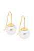 Drop pearl earrings - gold plated-Ellani-Drop earrings with 12mm shell pearl Stainless steel with gold IP plating Comes packaged in gorgeous Ellani packaging-Pash + Evolve