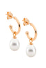 Hoop earrings freshwater pearl drop - Rose gold plated-Ellani-13mm Freshwater pearl SS Rose gold plated Comes packaged in Gorgeous Ellani packaging-Pash + Evolve