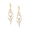 Open double twist drop earrings - 2 tone gold plated-Ellani-Stainless steel 2 tone Gold IP plated Comes packaged in gorgeous Ellani packaging-Pash + Evolve